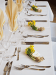 Backyard Party Rentals Los Angeles